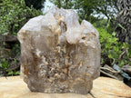 Polished XL Smokey Cascading Window Quartz Crystal  x 1 From Madagascar