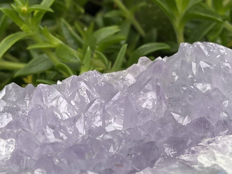 Polished XXL Blue Lace Agate with Lilac Amethyst Crystalline Geode, Display Piece  x 1 From Nsanje, Malawi