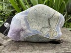 Polished XXL Blue Lace Agate with Lilac Amethyst Crystalline Geode, Display Piece  x 1 From Nsanje, Malawi