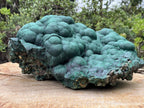 Natural XL Botryoidal Malachite Specimen x 1 From Congo