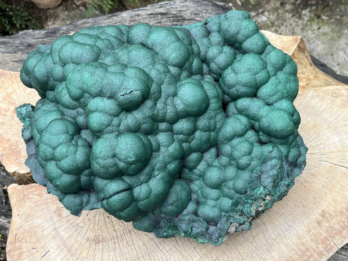 Natural XL Botryoidal Malachite Specimen x 1 From Congo