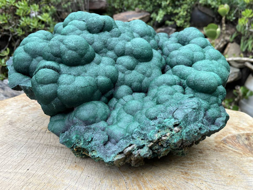 Natural XL Botryoidal Malachite Specimen x 1 From Congo