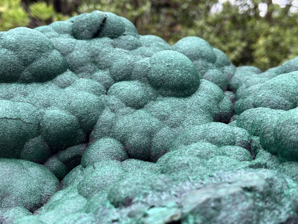 Natural XL Botryoidal Malachite Specimen x 1 From Congo