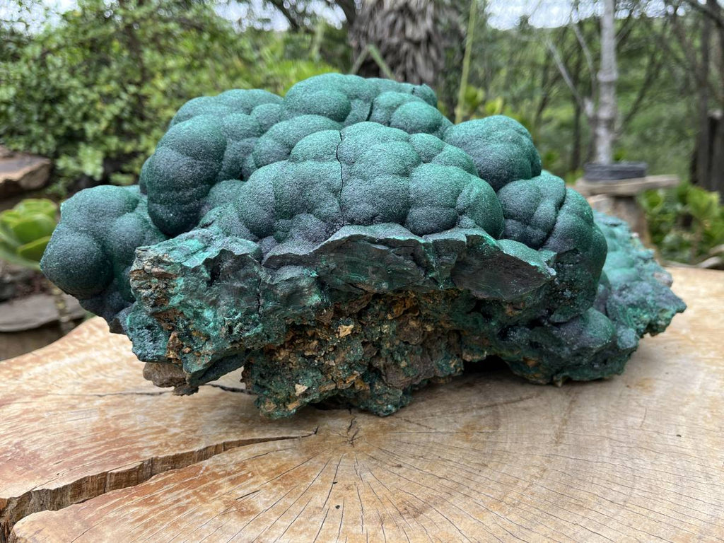 Natural XL Botryoidal Malachite Specimen x 1 From Congo