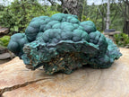 Natural XL Botryoidal Malachite Specimen x 1 From Congo