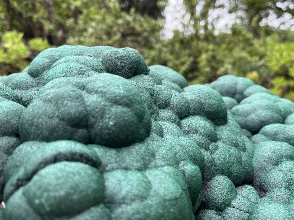 Natural XL Botryoidal Malachite Specimen x 1 From Congo
