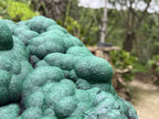 Natural XL Botryoidal Malachite Specimen x 1 From Congo