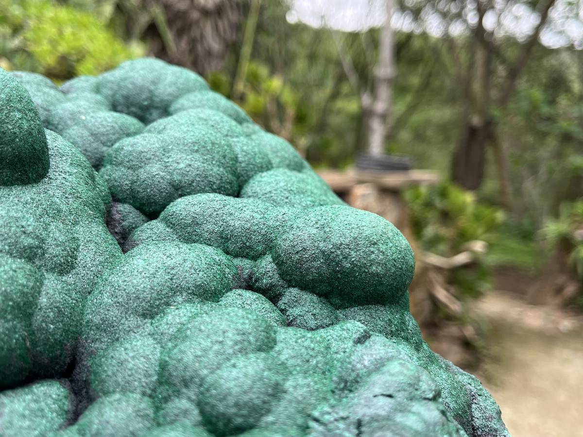 Natural XL Botryoidal Malachite Specimen x 1 From Congo