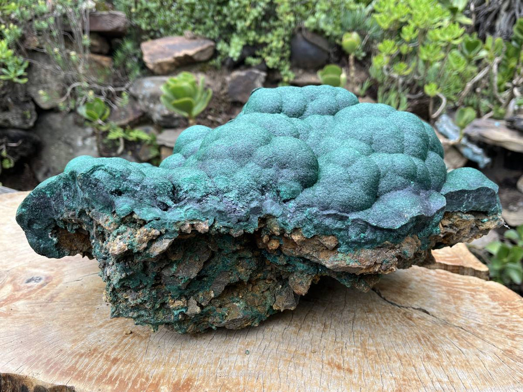 Natural XL Botryoidal Malachite Specimen x 1 From Congo