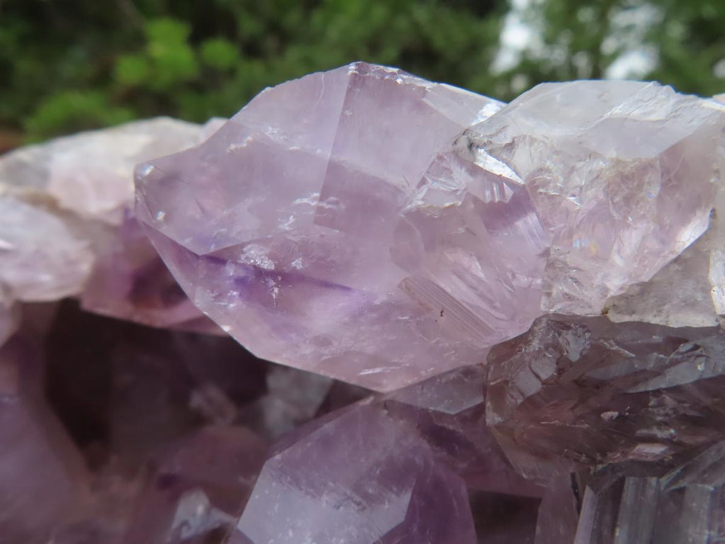 Natural XL Jacaranda Amethyst Quartz Geode x 1 From Mumbwa, Zambia