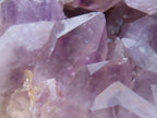 Natural XL Jacaranda Amethyst Quartz Geode x 1 From Mumbwa, Zambia