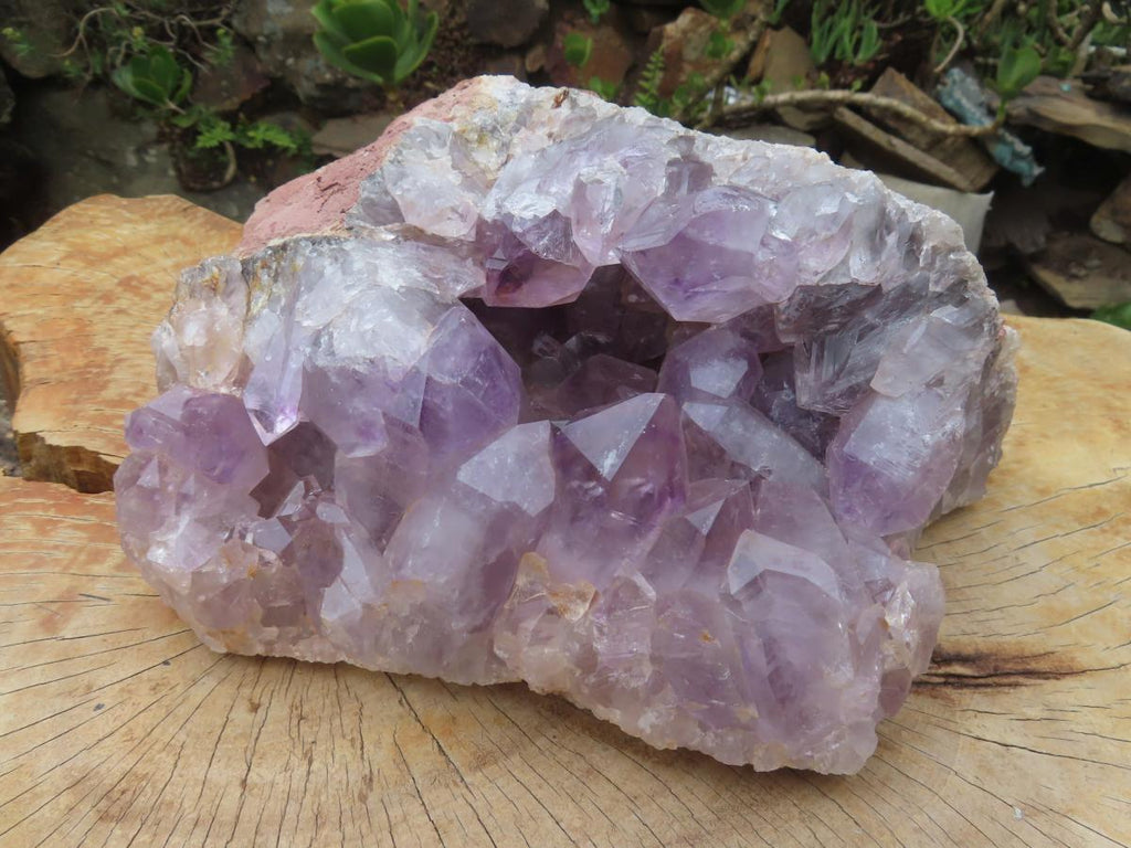 Natural XL Jacaranda Amethyst Quartz Geode x 1 From Mumbwa, Zambia