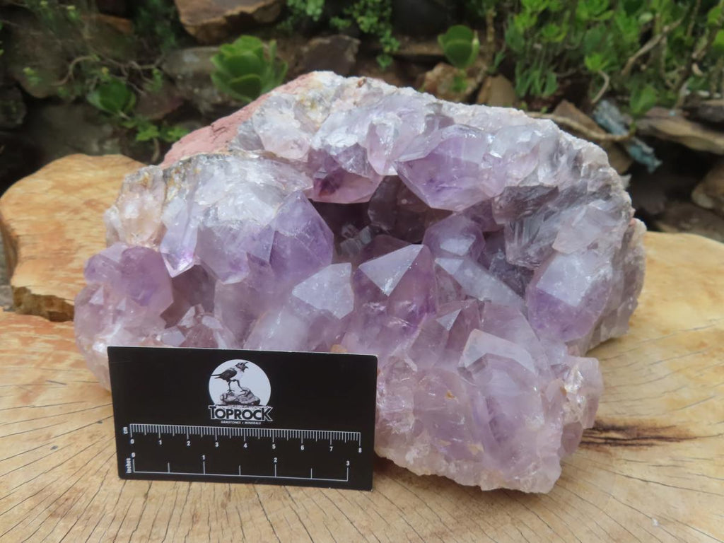 Natural XL Jacaranda Amethyst Quartz Geode x 1 From Mumbwa, Zambia