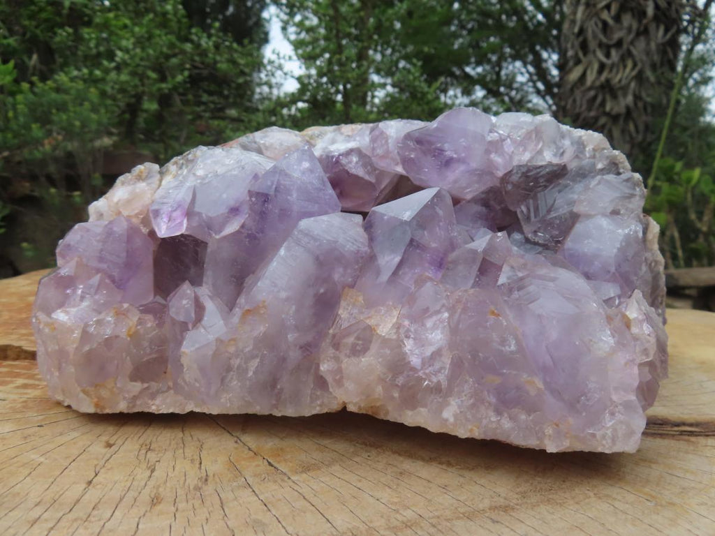 Natural XL Jacaranda Amethyst Quartz Geode x 1 From Mumbwa, Zambia