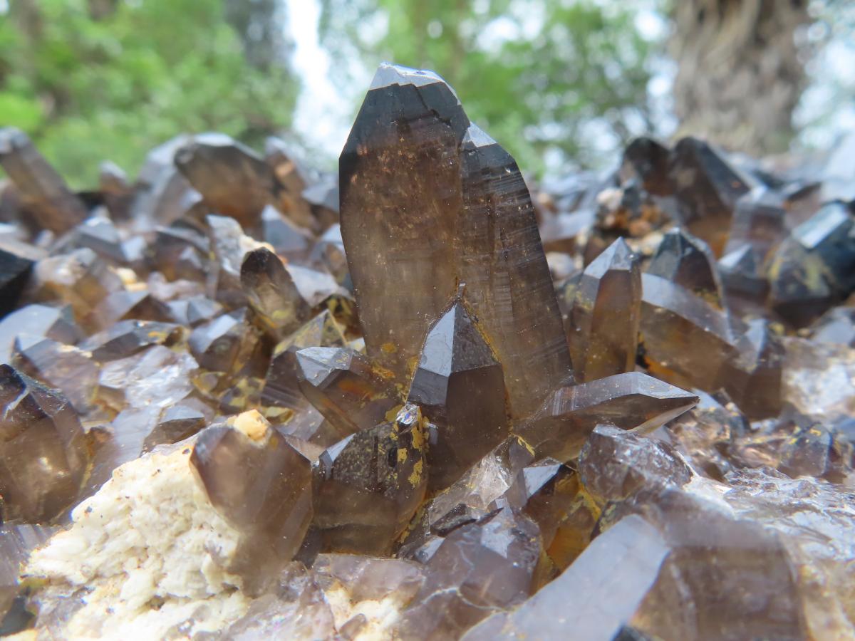 Natural XXL Schorl Black Tourmaline Flat Plate with, Smokey Quartz, Hyalite Opal Specimen x 1 From Erongo, Namibia