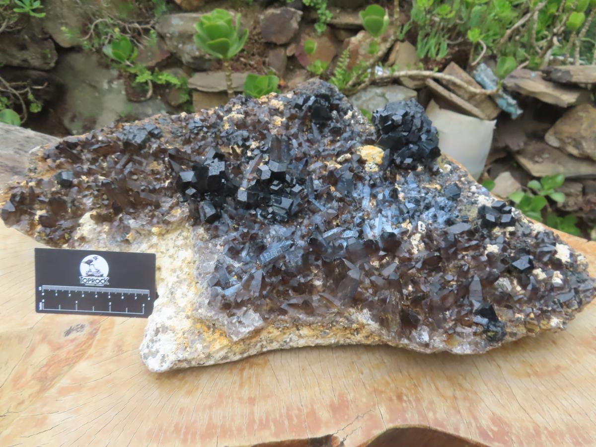 Natural XXL Schorl Black Tourmaline Flat Plate with, Smokey Quartz, Hyalite Opal Specimen x 1 From Erongo, Namibia