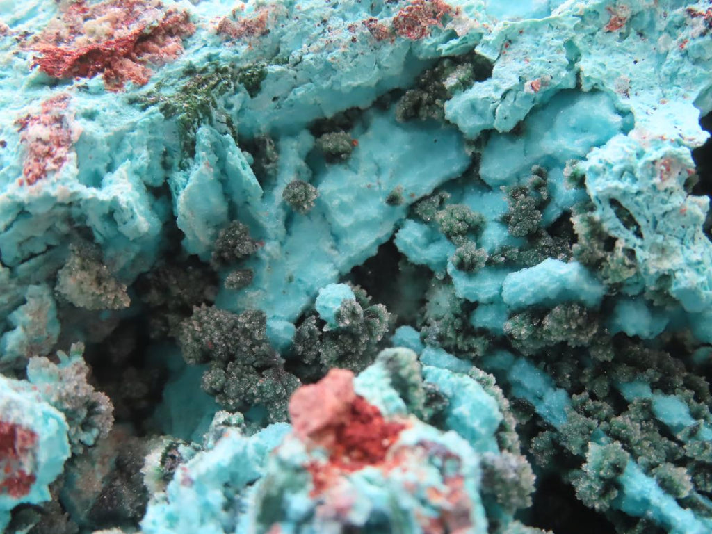 Natural Chrysocolla Blade Crystal Pseudomorph after Malachite with Druzy Coated Ball Malachite on Dolomite x 1 From Lupoto Mine, Congo