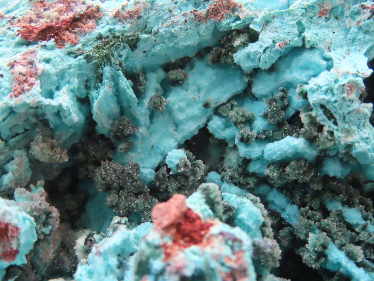 Natural Chrysocolla Blade Crystal Pseudomorph after Malachite with Druzy Coated Ball Malachite on Dolomite x 1 From Lupoto Mine, Congo