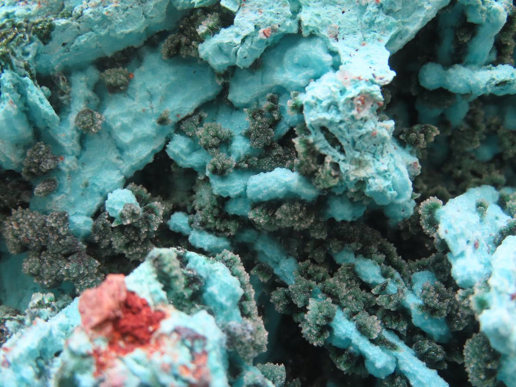 Natural Chrysocolla Blade Crystal Pseudomorph after Malachite with Druzy Coated Ball Malachite on Dolomite x 1 From Lupoto Mine, Congo