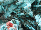 Natural Chrysocolla Blade Crystal Pseudomorph after Malachite with Druzy Coated Ball Malachite on Dolomite x 1 From Lupoto Mine, Congo