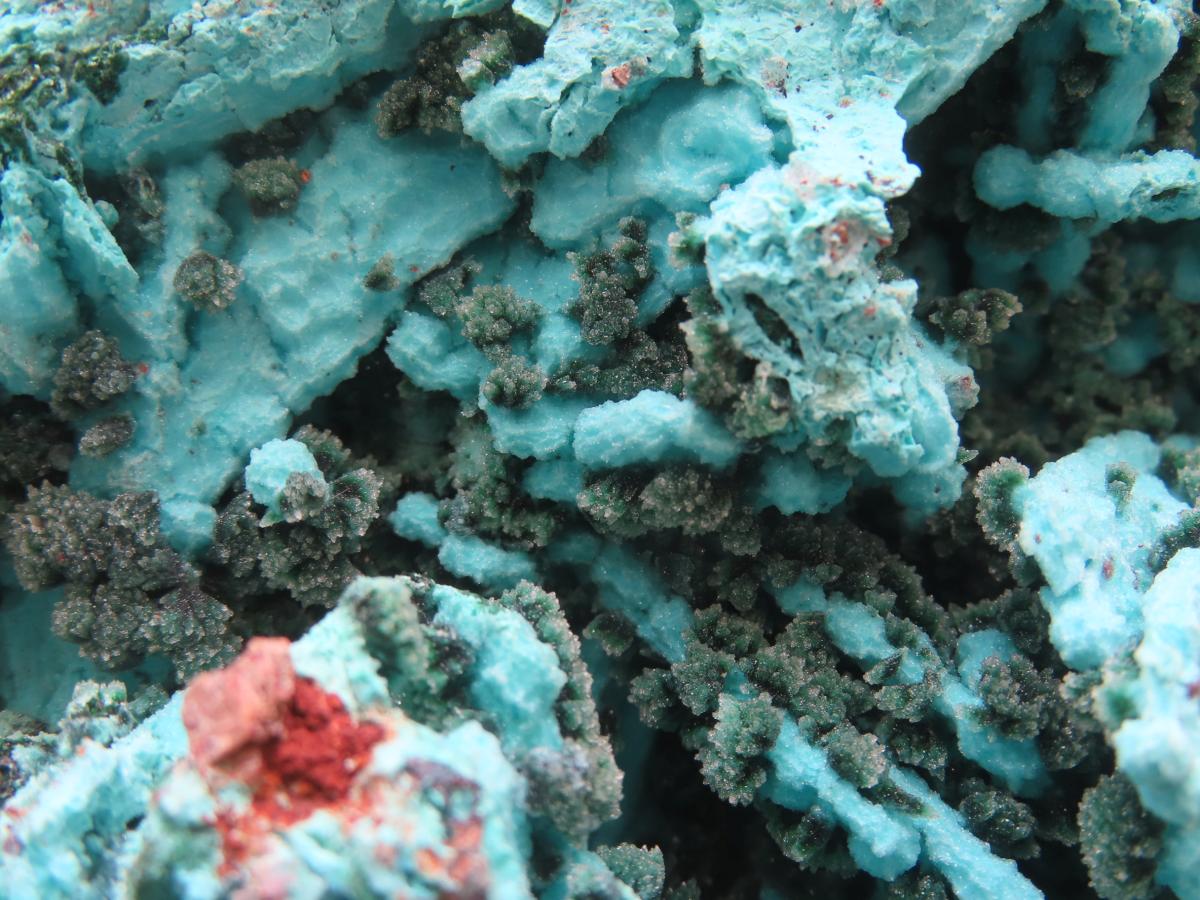Natural Chrysocolla Blade Crystal Pseudomorph after Malachite with Druzy Coated Ball Malachite on Dolomite x 1 From Lupoto Mine, Congo
