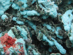 Natural Chrysocolla Blade Crystal Pseudomorph after Malachite with Druzy Coated Ball Malachite on Dolomite x 1 From Lupoto Mine, Congo