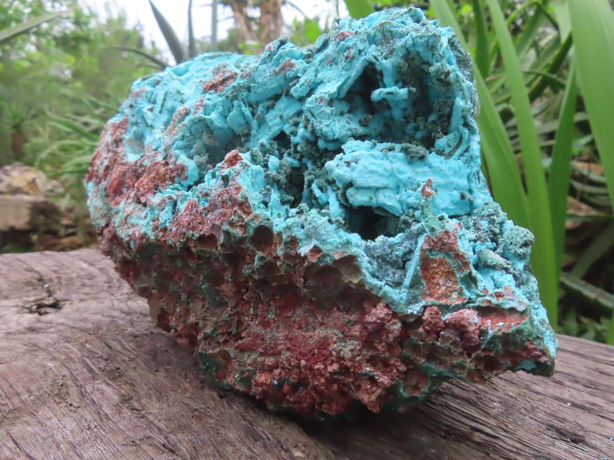 Natural Chrysocolla Blade Crystal Pseudomorph after Malachite with Druzy Coated Ball Malachite on Dolomite x 1 From Lupoto Mine, Congo