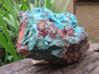 Natural Chrysocolla Blade Crystal Pseudomorph after Malachite with Druzy Coated Ball Malachite on Dolomite x 1 From Lupoto Mine, Congo