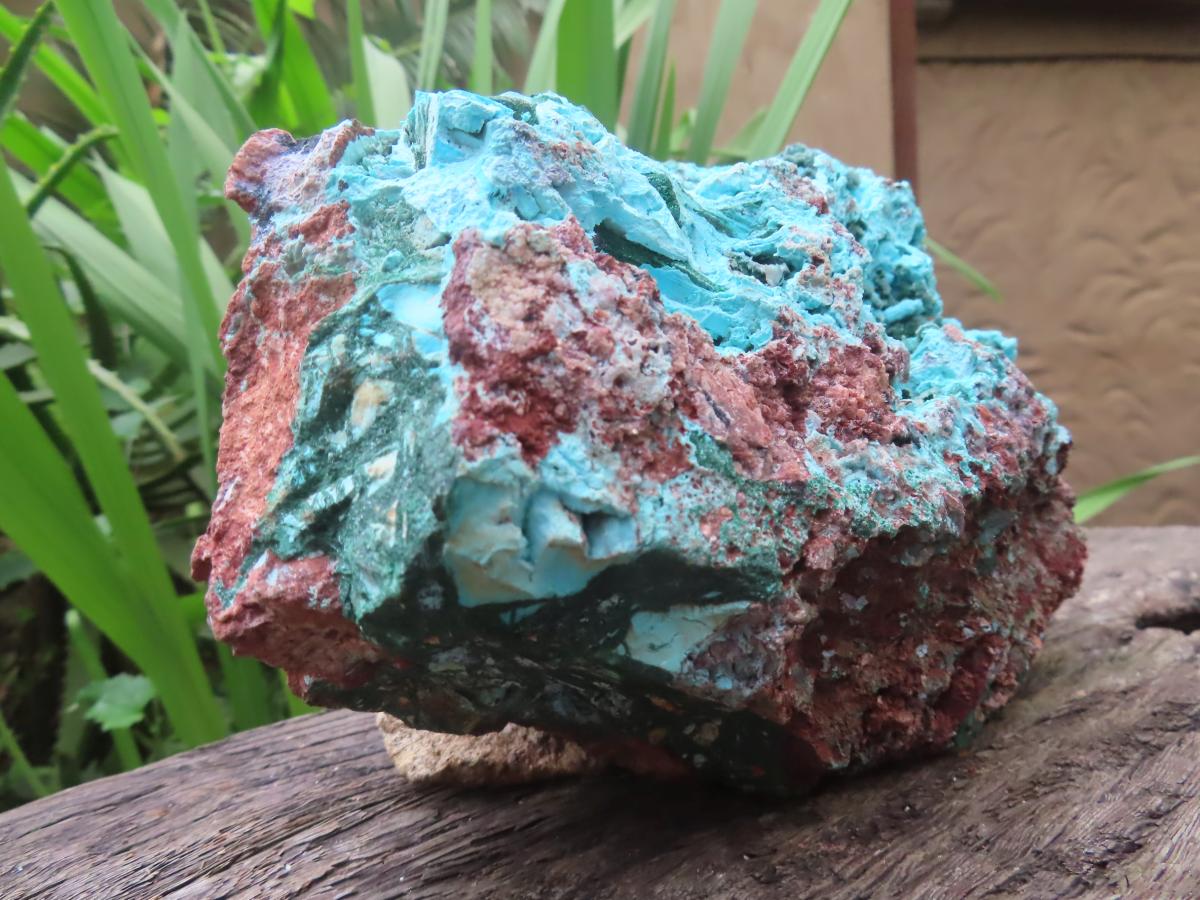 Natural Chrysocolla Blade Crystal Pseudomorph after Malachite with Druzy Coated Ball Malachite on Dolomite x 1 From Lupoto Mine, Congo