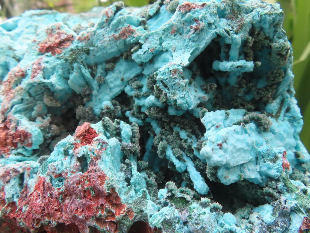 Natural Chrysocolla Blade Crystal Pseudomorph after Malachite with Druzy Coated Ball Malachite on Dolomite x 1 From Lupoto Mine, Congo