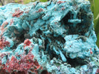 Natural Chrysocolla Blade Crystal Pseudomorph after Malachite with Druzy Coated Ball Malachite on Dolomite x 1 From Lupoto Mine, Congo