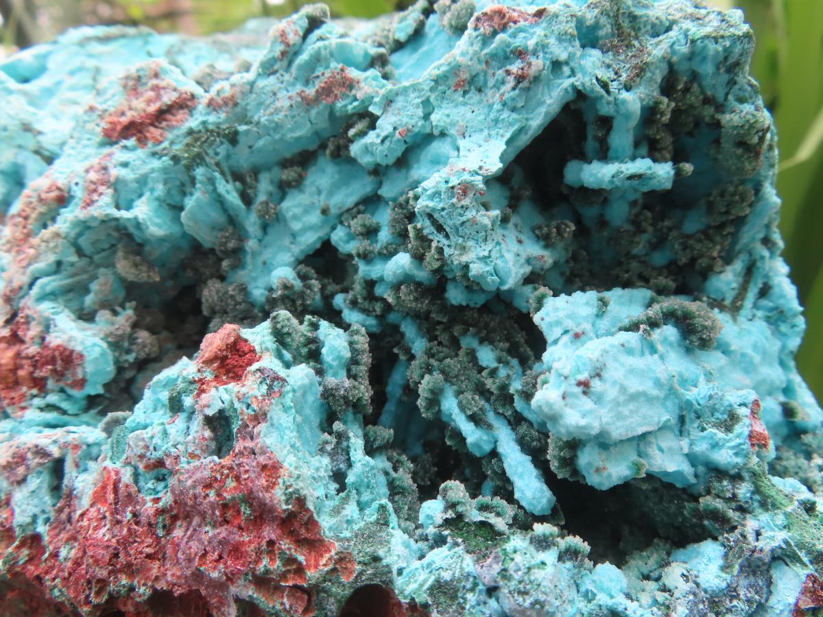 Natural Chrysocolla Blade Crystal Pseudomorph after Malachite with Druzy Coated Ball Malachite on Dolomite x 1 From Lupoto Mine, Congo