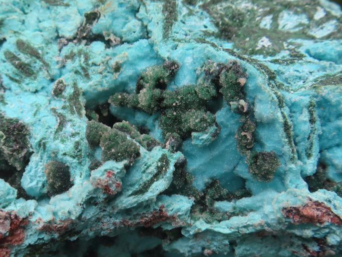Natural Chrysocolla Blade Crystal Pseudomorph after Malachite with Druzy Coated Ball Malachite on Dolomite x 1 From Lupoto Mine, Congo