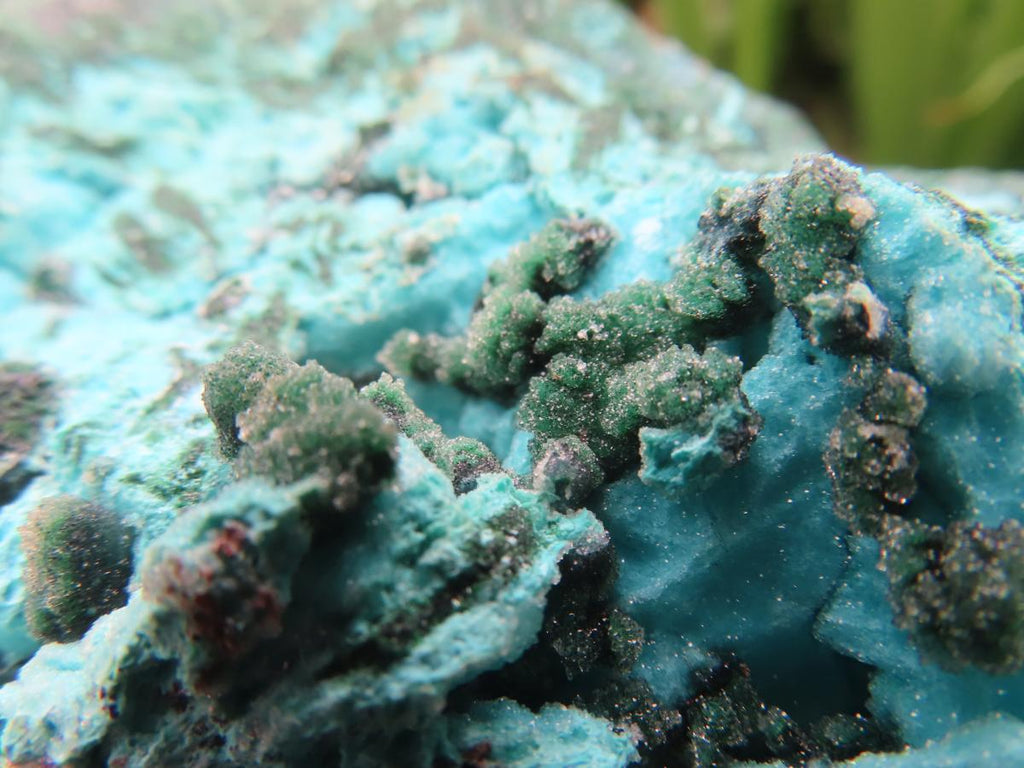 Natural Chrysocolla Blade Crystal Pseudomorph after Malachite with Druzy Coated Ball Malachite on Dolomite x 1 From Lupoto Mine, Congo
