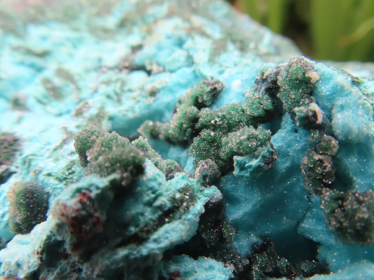 Natural Chrysocolla Blade Crystal Pseudomorph after Malachite with Druzy Coated Ball Malachite on Dolomite x 1 From Lupoto Mine, Congo