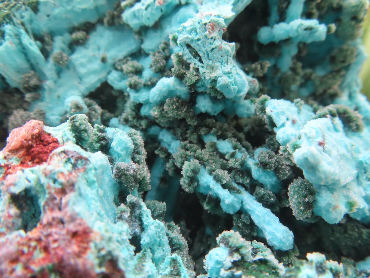 Natural Chrysocolla Blade Crystal Pseudomorph after Malachite with Druzy Coated Ball Malachite on Dolomite x 1 From Lupoto Mine, Congo