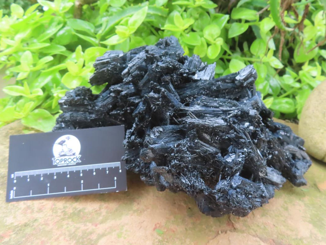 Natural Schorl Black Tourmaline Specimen x 1 From Erongo, Namibia