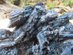 Natural Schorl Black Tourmaline Specimen x 1 From Erongo, Namibia