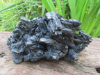 Natural Schorl Black Tourmaline Specimen x 1 From Erongo, Namibia