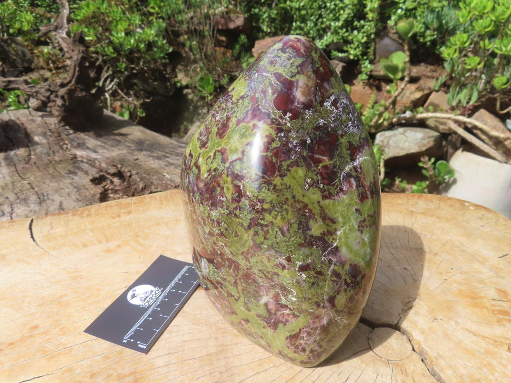 Polished Large Bastite Dragons Blood Stone Standing Free Form x 1 From Tshipise, South Africa