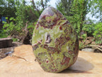 Polished Large Bastite Dragons Blood Stone Standing Free Form x 1 From Tshipise, South Africa