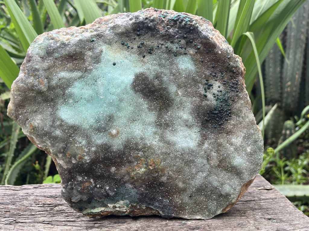 Natural XL Drusy Coated Chrysocolla on Dolomite with Ball Malachite Specimen x 1 From Congo