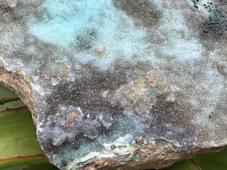 Natural XL Drusy Coated Chrysocolla on Dolomite with Ball Malachite Specimen x 1 From Congo