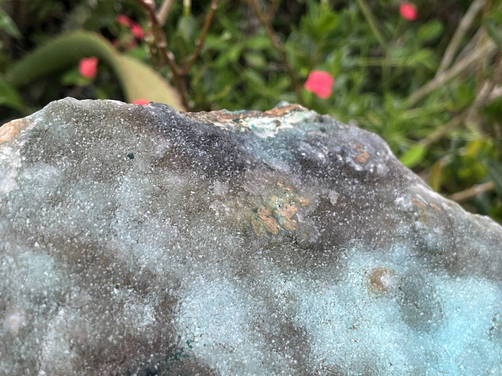 Natural XL Drusy Coated Chrysocolla on Dolomite with Ball Malachite Specimen x 1 From Congo