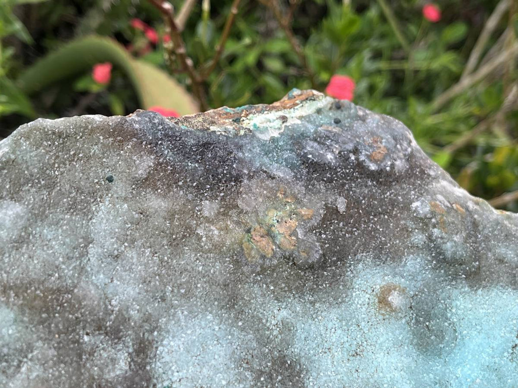 Natural XL Drusy Coated Chrysocolla on Dolomite with Ball Malachite Specimen x 1 From Congo