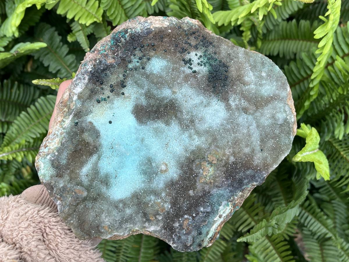 Natural XL Drusy Coated Chrysocolla on Dolomite with Ball Malachite Specimen x 1 From Congo