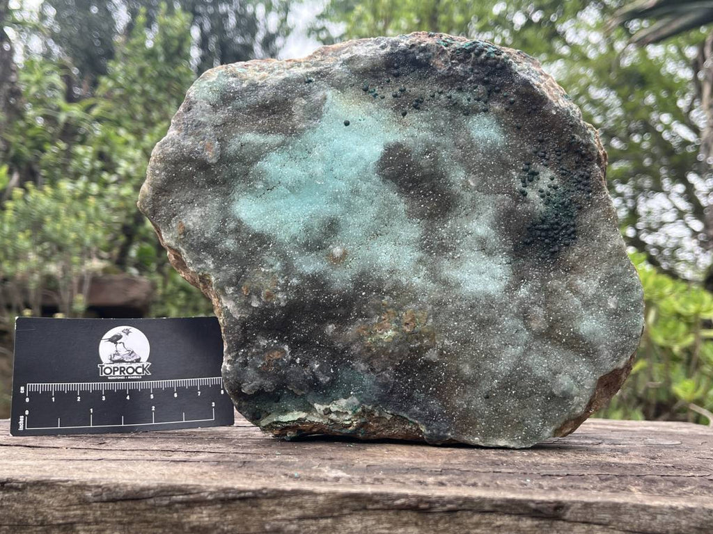 Natural XL Drusy Coated Chrysocolla on Dolomite with Ball Malachite Specimen x 1 From Congo
