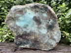 Natural XL Drusy Coated Chrysocolla on Dolomite with Ball Malachite Specimen x 1 From Congo