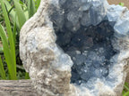 Natural Extra Large A Grade Celestite Geode Specimen x 1 From Sakoany, Madagascar
