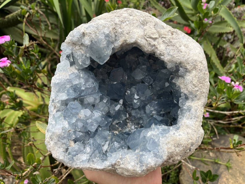 Natural Extra Large A Grade Celestite Geode Specimen x 1 From Sakoany, Madagascar